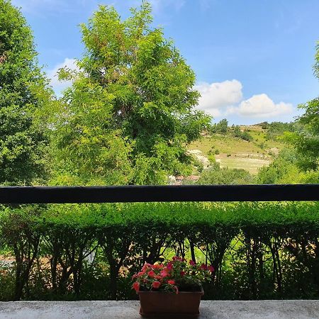 Agriturismo Il Burlino Apartments Lerma Kültér fotó