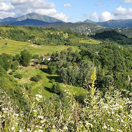 Agriturismo Il Burlino Apartments Lerma Kültér fotó