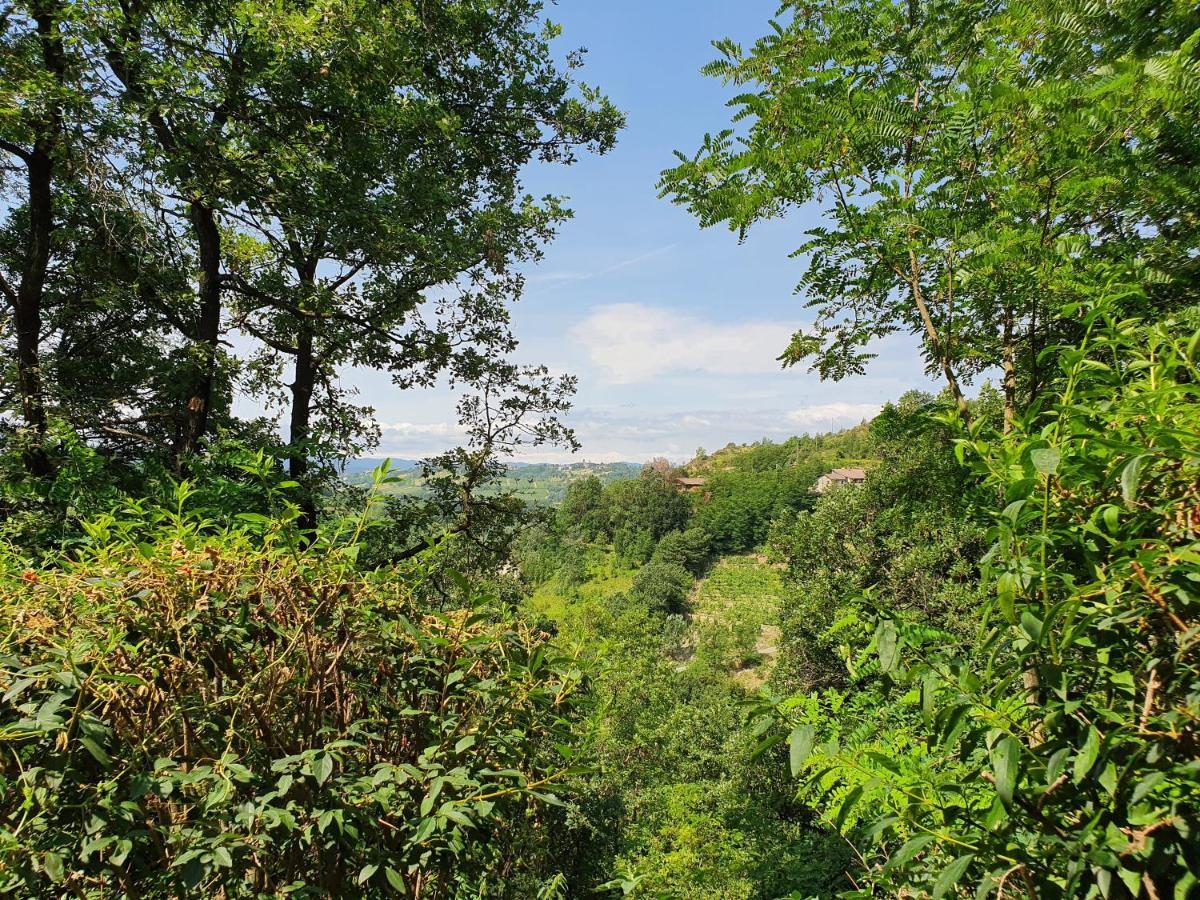 Agriturismo Il Burlino Apartments Lerma Kültér fotó