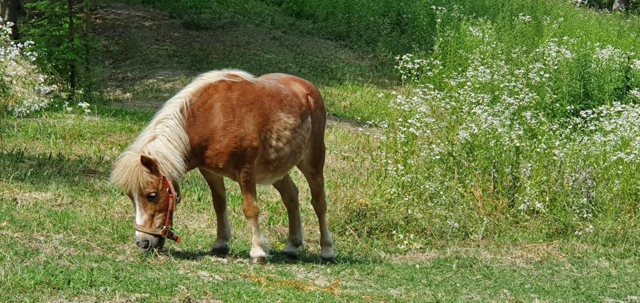 Agriturismo Il Burlino Apartments Lerma Kültér fotó