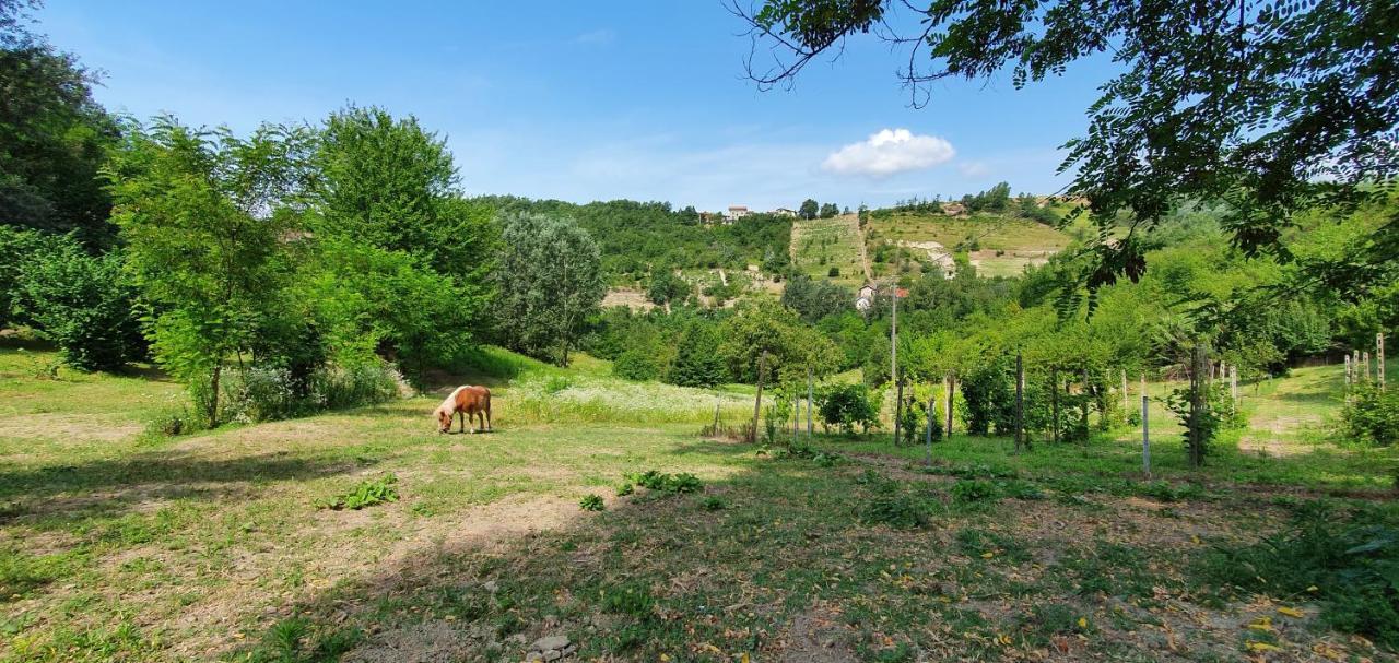 Agriturismo Il Burlino Apartments Lerma Kültér fotó