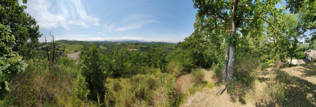 Agriturismo Il Burlino Apartments Lerma Kültér fotó