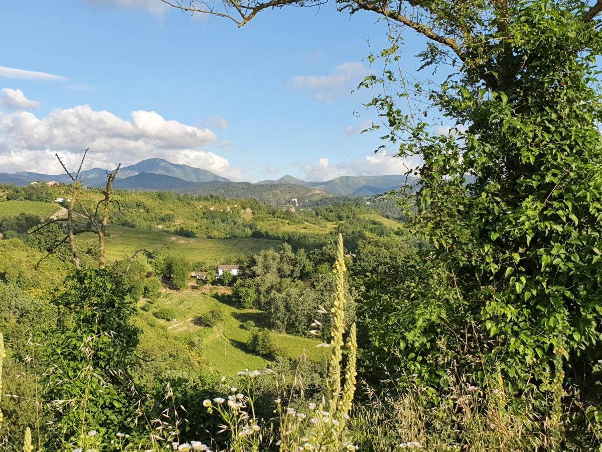 Agriturismo Il Burlino Apartments Lerma Kültér fotó