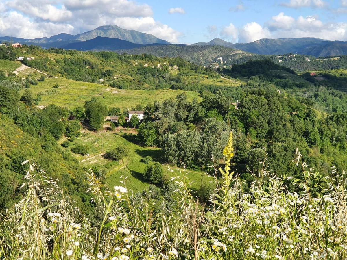 Agriturismo Il Burlino Apartments Lerma Kültér fotó