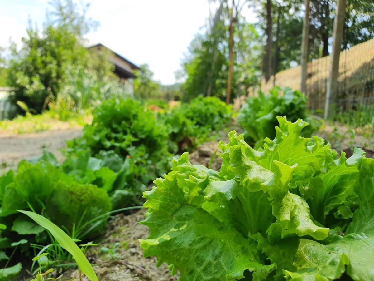 Agriturismo Il Burlino Apartments Lerma Kültér fotó