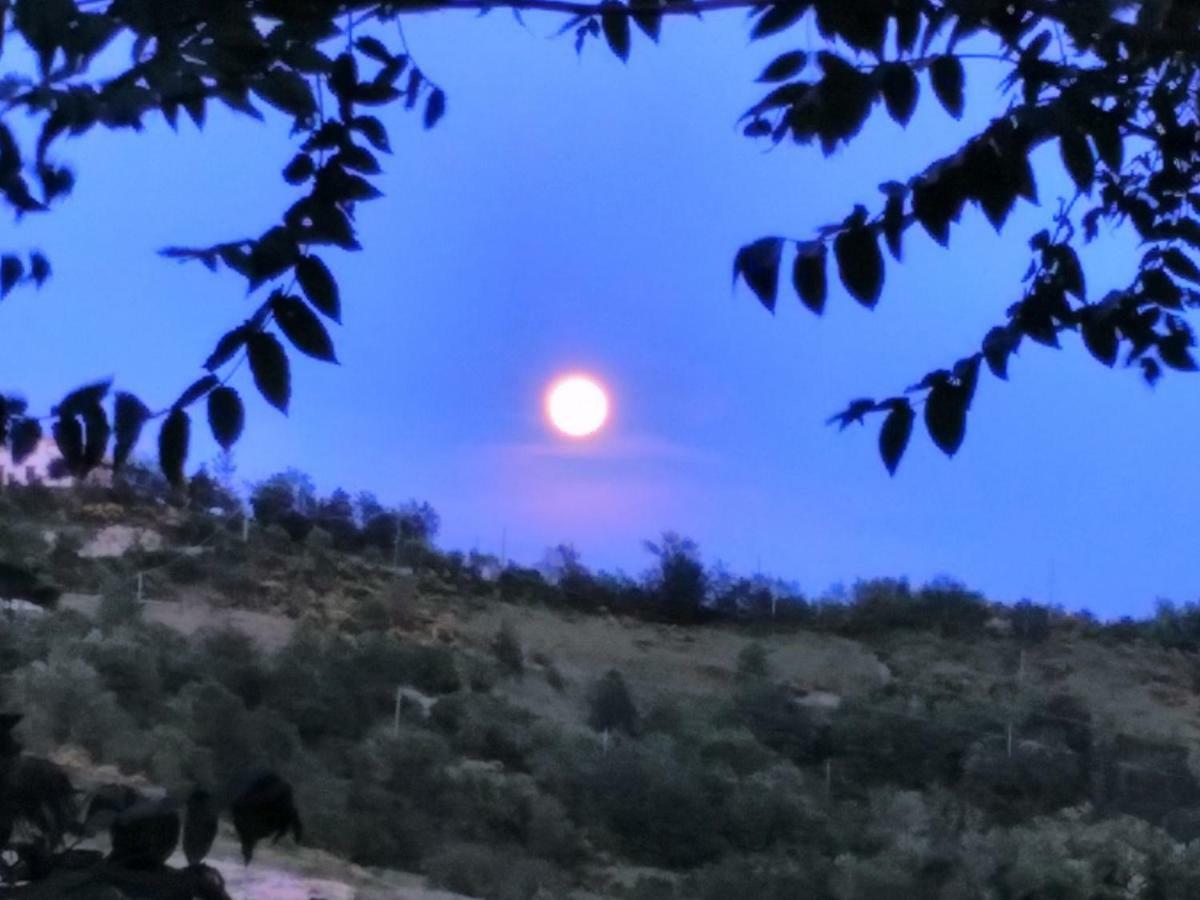 Agriturismo Il Burlino Apartments Lerma Kültér fotó